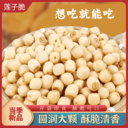 莲子脆休闲办公室零食香脆莲子脆休闲零食现货现发cc-1