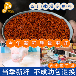 虾米 手搓冰粉籽商用批发特级冰粉籽手工手搓冰粉凉粉籽正宗厂家直销