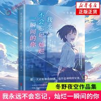 我永远不会忘记，灿烂一瞬间的你 冬野夜空 小说中文版 日本青春文学催泪神作 绝症少女与孤僻少