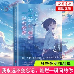 我永远不会忘记，灿烂一瞬间的你 冬野夜空 小说中文版 日本青春文学催泪神作 绝症少女与孤僻少