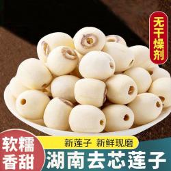 湖南正宗莲子干货500g新鲜无芯白莲子新货颗粒饱满清香原料营养