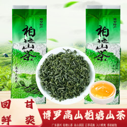 高山柏塘绿茶正宗云雾传统工艺炒青绿茶鲜爽浓香馥郁250g袋装
