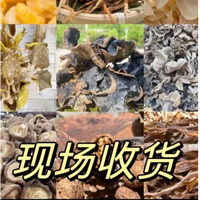 农户现场收货杂粮初级农产品