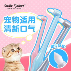 猫牙刷 小尖头单束猫咪宠物牙刷  小头刷牙缝结石口腔清洁牙具