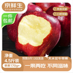 京鲜生 天水花牛苹果 净重4.5斤 单果170g+ 生鲜水果