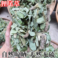 新货狸尾羊咩香自然晒干 新鲜狸尾草 煲汤干货