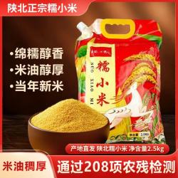 陕北黄小米煮粥香甜粘稠真空新鲜小米新米