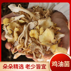 云南菌菇鸡油菌65克/袋*2/4袋