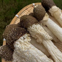 精品食用黑头竹笙竹荪短裙散装 100克