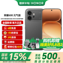 荣耀 600元气版 曜石黑 8GB+256GB