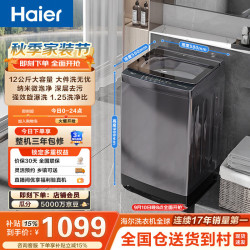 海尔 初色2.0系列 XQB120-BZ20D1 变频波轮洗衣机 12kg 星蕴银