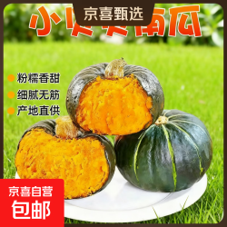 京东自营 贝贝南瓜 国产板栗味南瓜 500g