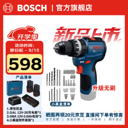 博世 GSB 12V-31无刷锂电电钻 电动螺丝刀套装 两电一充+小黑盒附件