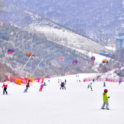 崇礼云顶太子公寓双人1晚/2晚住宿+早餐+滑雪+权益