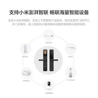 移动端：鹿客 X9Pro 智能猫眼大屏指纹锁