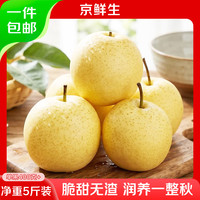 京鲜生 河北雪花梨 净重5斤 单果400g+ 新鲜雪梨 生鲜水果 源头直发