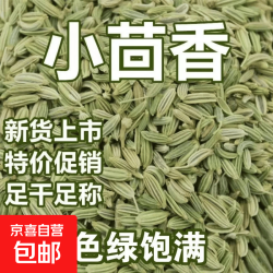 甘肃小茴香籽儿小茴香批发小茴香粉荤香茴香卤肉炒菜调料火锅底料 小茴香100g