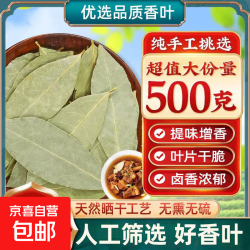 正宗广西花椒八角大料香料调料卤味全干香料大全批发正宗特产调料 香叶 500克