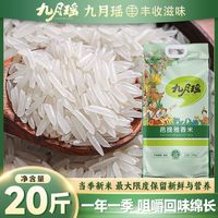 九月瑶 芭提雅香米炒饭煲仔饭丝苗米长粒香大米当季新米
