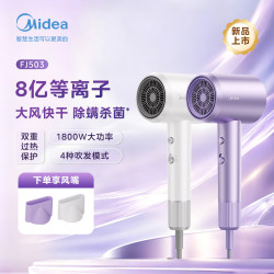 美的 吹风机8亿等离子恒温快干大功率家用电吹风不伤发FJ503