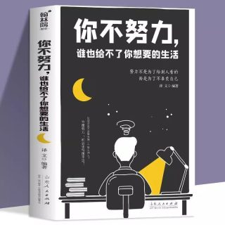 正版书籍你不努力谁也给不了你想要的生活经管成功励志书籍治愈系正能量心灵鸡汤