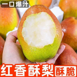 河东印记 山西红香酥梨新鲜应季水果薄皮梨子香梨酥脆多汁整箱包邮特产时令