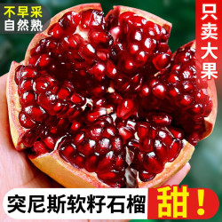 正宗四川会理突尼斯软籽石榴新鲜孕妇水果应当季产地直发特大果甜