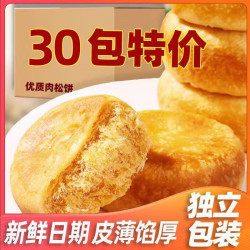 真臣 正宗肉松饼面包整箱早餐充饥夜宵糕点点心宿舍小零食小吃休闲食品
