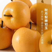 鲜宝道 秋月梨 5斤单果200+净重4.5斤