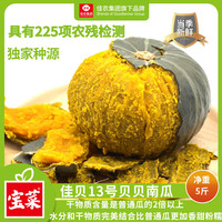 佳农 山东栗贝南瓜 250g/个 净重5斤