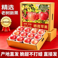 鲁禧 山东红富士苹果 新鲜水果生鲜 山东特产脆甜整箱苹果源头直发 净重3斤装(单果果径75-80mm)