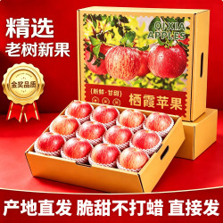鲁禧 山东红富士苹果 新鲜水果生鲜 山东特产脆甜整箱苹果源头直发 净重3斤装（单果果径75-80mm）