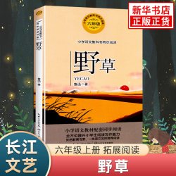 小学六年级上下册课文作家作品阅读 竹节人草原北京的春节故宫博物院狼牙山五壮士花之歌 长江文艺出版社小