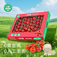京鲜生 ＆一柿缘 串收樱桃小番茄精品礼盒净重790g 水果小西红柿源头直发
