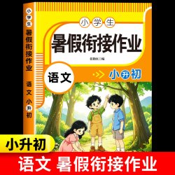 2026新版 小升初暑假作业语文数学英语人教版小学六年级下册暑假衔接教材同步练习册专项练习小学