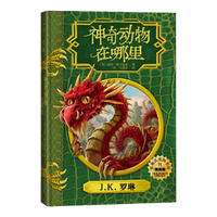 当当网童书 神奇动物在哪里邓布利多之谜神奇的魁地奇球