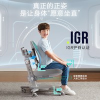 Sugar Swan 德国SugarSwan糖天鹅儿童学习专用椅子学生升降正姿写字作业座椅