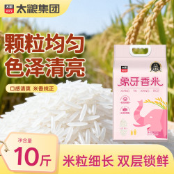 太粮 象牙香米大米10斤装 长粒猫牙米南方大米 油粘米京东自营
