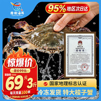 赣榆海鲜新鲜梭子蟹鲜活冷冻大螃蟹水产野生飞白蟹 3-4两/只 3斤装