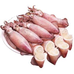 新鲜海兔 籽乌500g*任选5斤（一件批发价）