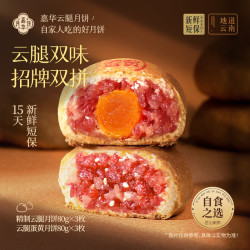 嘉华食品 嘉华 云腿双拼月饼6枚自食装480g