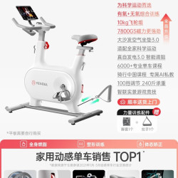 野小兽 自发电动感单车家用运动健身室内减肥器材静音Power