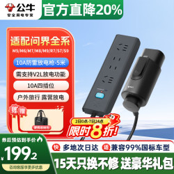 公牛 放电枪转换头+10A防雷排插-5米