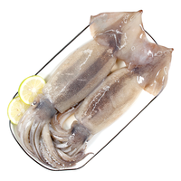 富海锦 冷冻大鱿鱼 800g