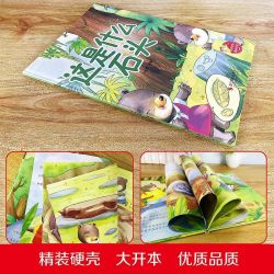 关于石头的绘本 精装硬壳绘本幼儿园阅读儿童绘本3到6岁故事书A4