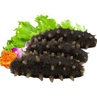 晓芹 即食海参 16-20头 500g