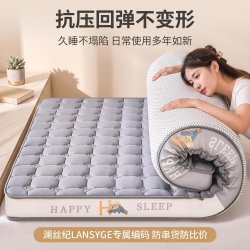 LANSYGE/澜丝纪高密度记忆棉床垫A类学生护脊家用宿舍加厚榻榻米