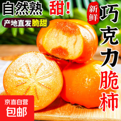 京喜加 脆甜精选巧克力脆柿子山西新鲜水果柿子当季黄甜脆火晶整箱包邮 带箱2斤（单果100g+）