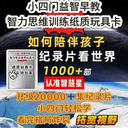 高分小初高小四门纪录片益智早教智力思维训练玩具