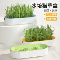 猫草无土水培猫草盆栽天然化毛健康零食懒人清洁口腔幼猫猫草种子